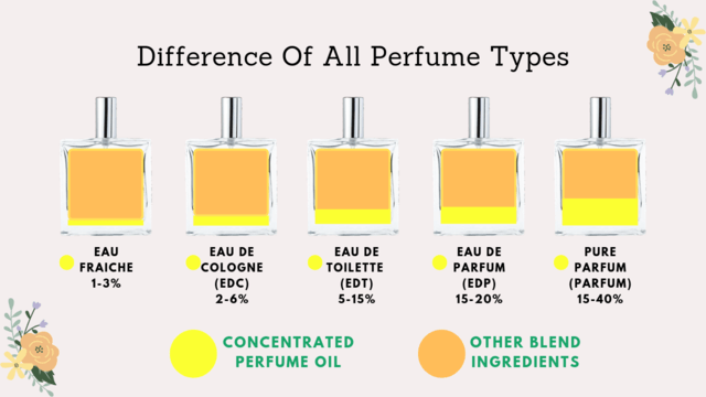 The Illusion of Fragrance | Truth Behind Perfume Companies | EnspiredBy